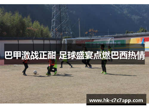 巴甲激战正酣 足球盛宴点燃巴西热情 巴甲激战正酣 足球盛宴点燃巴西热情